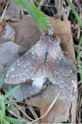 фото В. Николаевой